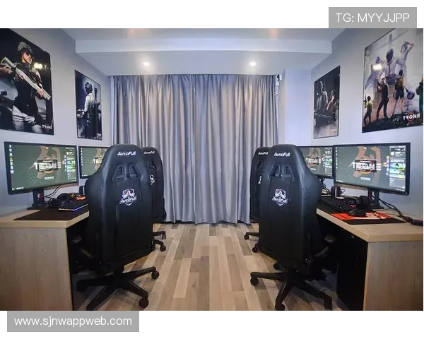 pgi.s电竞商店：打造最全电竞装备一站式购物平台体验