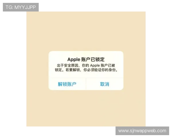 PG娱乐网页版登录失败原因揭秘或与账号安全验证系统升级有关