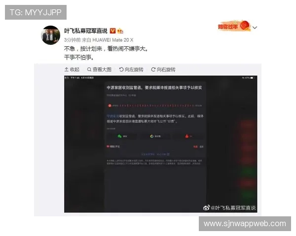 pupg官方验证流程详解及注意事项，避免验证过程中出现的常见错误和风险