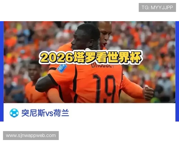 世界杯突尼斯对阵荷兰比赛攻防全方位深度分析与战术亮点解析 世界杯突尼斯对阵荷兰比赛攻防全方位深度分析与战术亮点解析